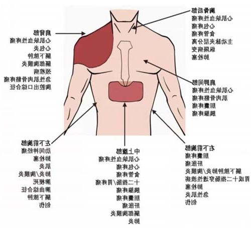 微信图片_20230206083646.jpg